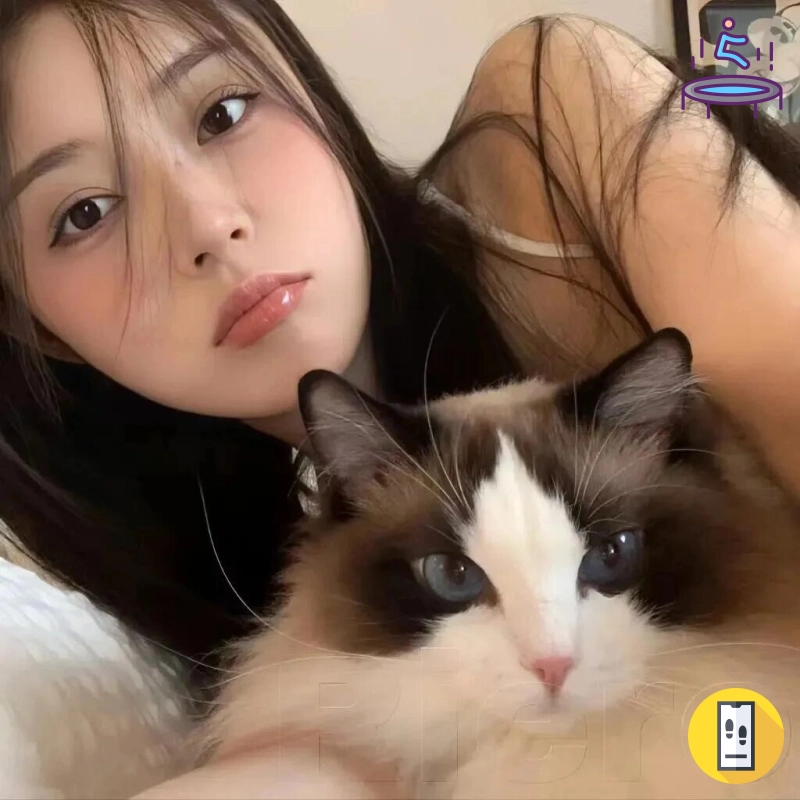 苏先生